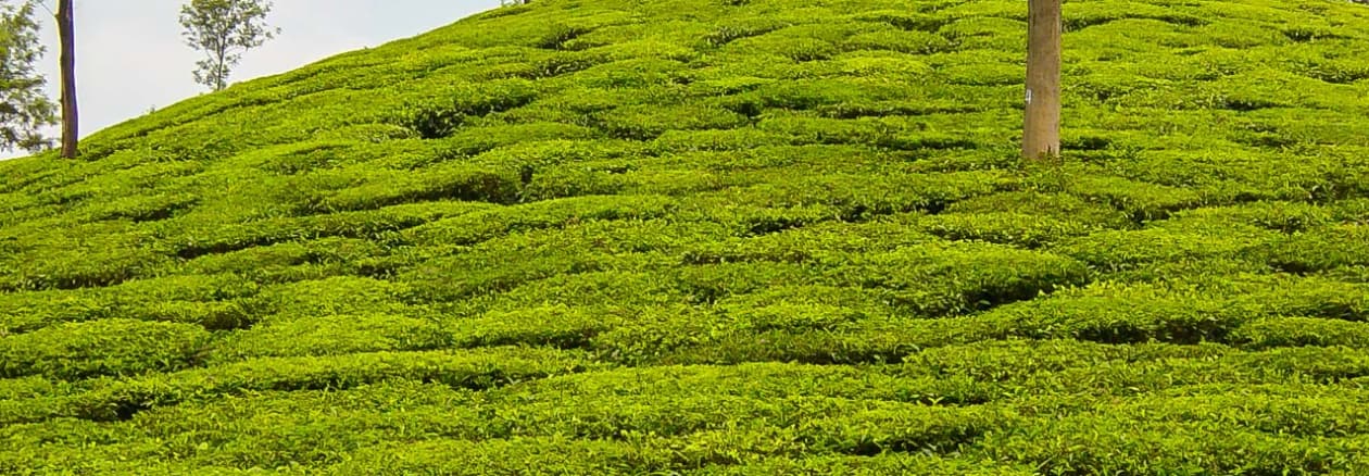 Kerala Budget Package Rs.5,999/-